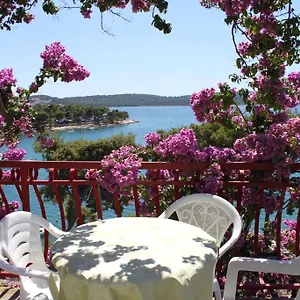 Ana Trogir